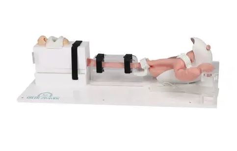 เครื่องกระตุ้นระบบทางเดินอาหาร  Gastro-enterology simulator 7150  Erler-Zimmer