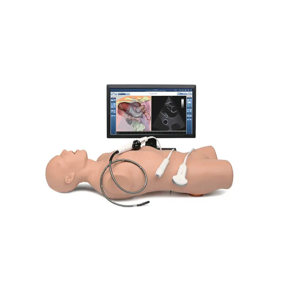 หุ่นฝึกทักษะทางการแพทย์  Anatomy patient simulator Vimedix  CAE Healthcare