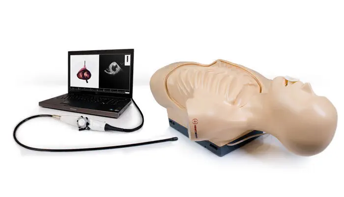 เครื่องตรวจหัวใจด้วยคลื่นเสียงความถี่สูงชนิดผ่านหลอดอาหาร  Echocardiography simulator TEE  Inventive Medical Limited