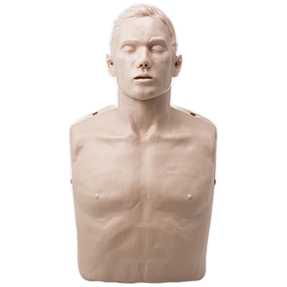 หุ่นจำลองผู้ใหญ่ใช้ในการสอน CPR ชนิดครึ่งตัว แบบไม่มีไฟ BRAYDEN CPR Manikin (Without Lights)