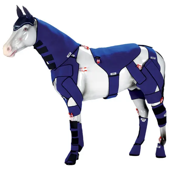 ชุดกายอุปกรณ์เสริมสำหรับม้า Equine veterinary orthosis  Zamar