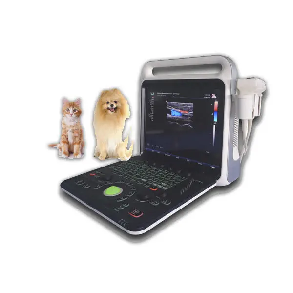 เครื่องอัลตราซาวด์แบบพกพาชนิดสีสำหรับสัตว์ Portable veterinary ultrasound system XF3800V  Xianfeng