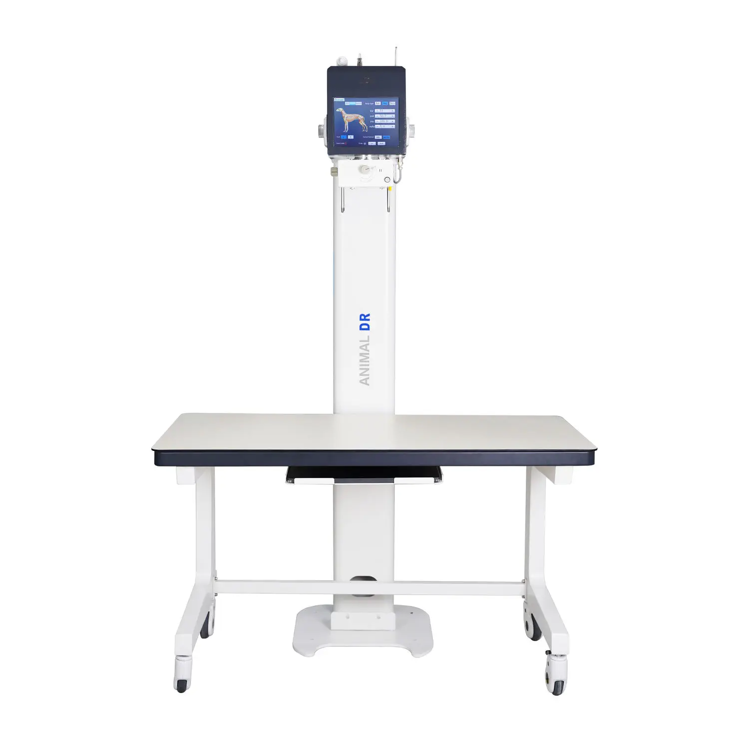 เครื่องเอกซเรย์ระบบดิจิตอลสำหรับสัตว์ Veterinary X-ray system RV-5B  Dawei