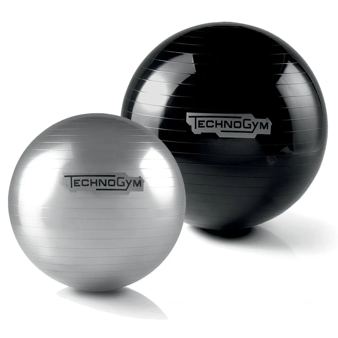 พิลาทิสบอล Large size Pilates ball Wellness Ball™ Training TECHNOGYM
