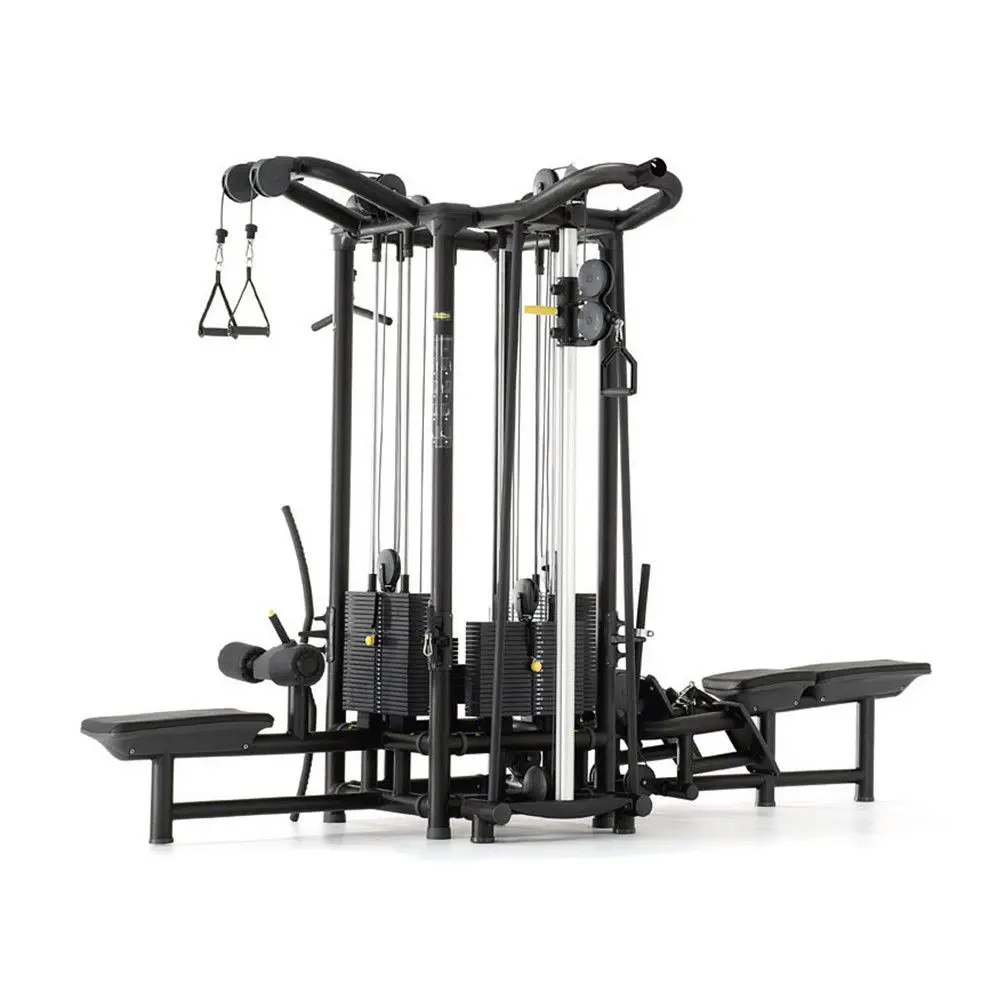 รอกคู่เหนือศีรษะ สำหรับบริหารไหล่และแขน Dual-cable exercise pulley Cable Station TECHNOGYM