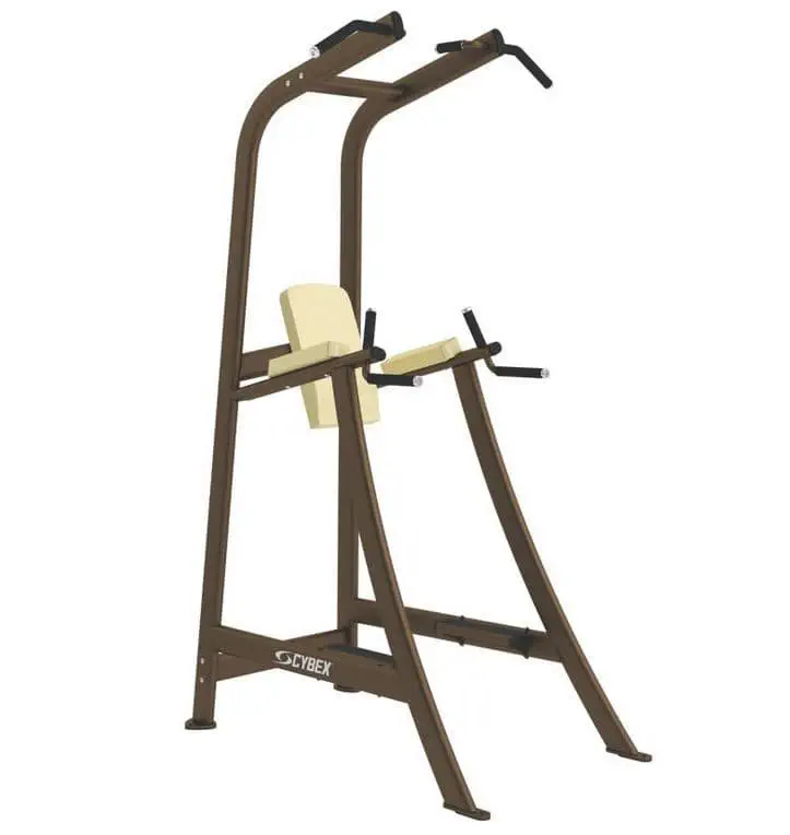 เครื่องออกกำลังขาพร้อมบาร์โหน Leg raise chair with pull-up bar Free Weights Cybex