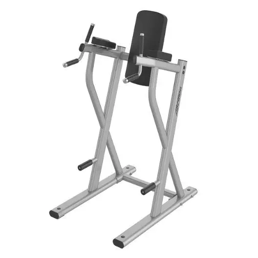 เครื่องออกกำลังขา Leg raise chair AXIOM Life Fitness